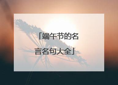 端午节的名言名句大全