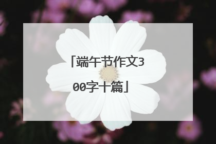 端午节作文300字十篇