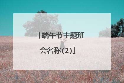 端午节主题班会名称(2)