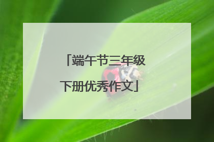 端午节三年级下册优秀作文