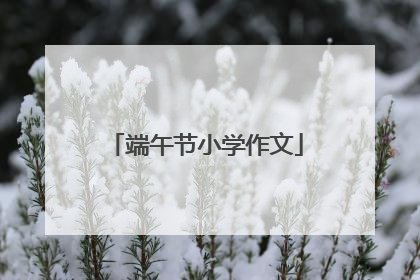 端午节小学作文