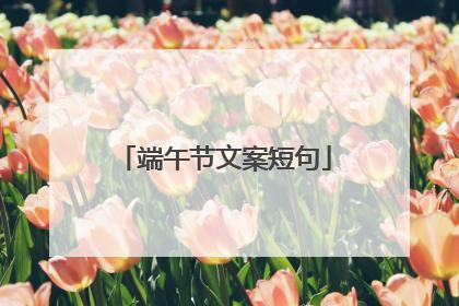 端午节文案短句