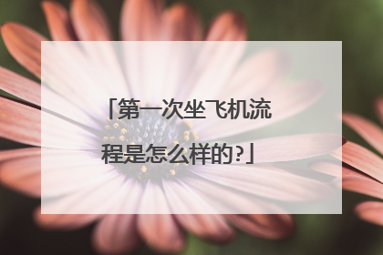 第一次坐飞机流程是怎么样的?
