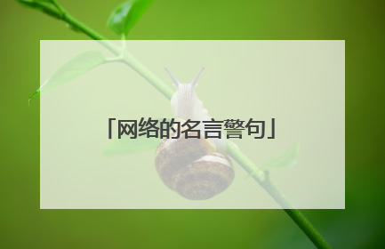 网络的名言警句