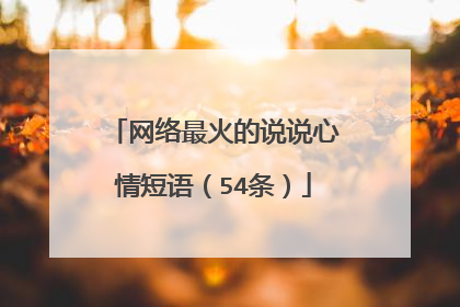 网络最火的说说心情短语（54条）