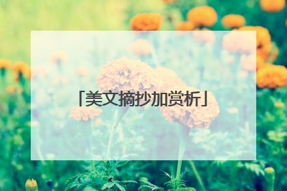 美文摘抄加赏析