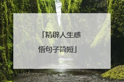 精辟人生感悟句子简短