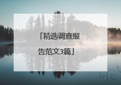 精选调查报告范文3篇
