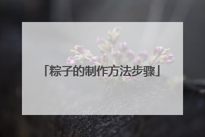 粽子的制作方法步骤