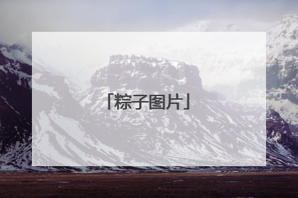 粽子图片