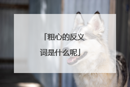 粗心的反义词是什么呢