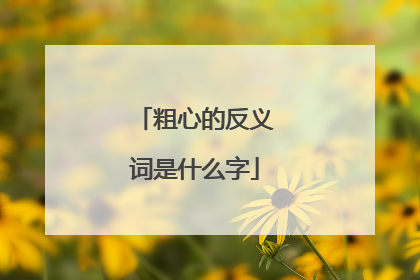 粗心的反义词是什么字
