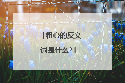 粗心的反义词是什么?