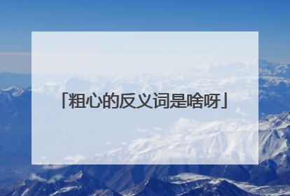 粗心的反义词是啥呀