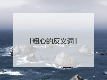 粗心的反义词