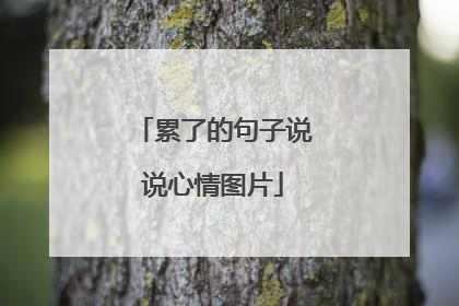 累了的句子说说心情图片