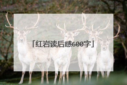 红岩读后感600字