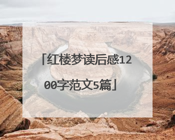 红楼梦读后感1200字范文5篇
