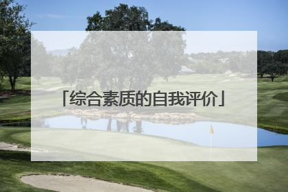 综合素质的自我评价