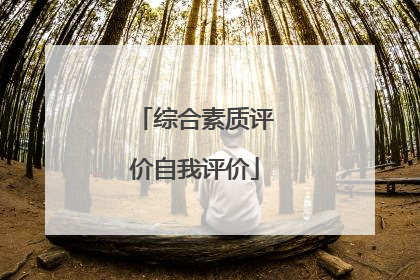 综合素质评价自我评价
