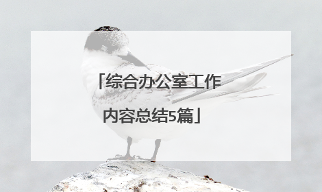 综合办公室工作内容总结5篇