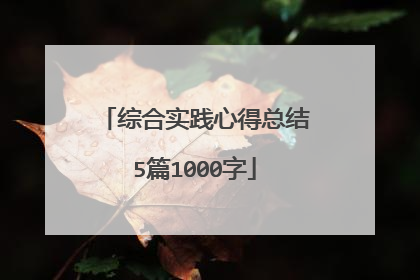 综合实践心得总结5篇1000字