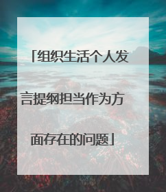 组织生活个人发言提纲担当作为方面存在的问题