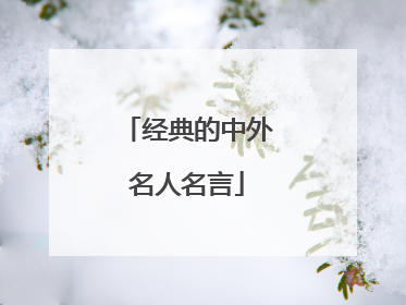 经典的中外名人名言