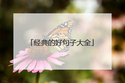 经典的好句子大全