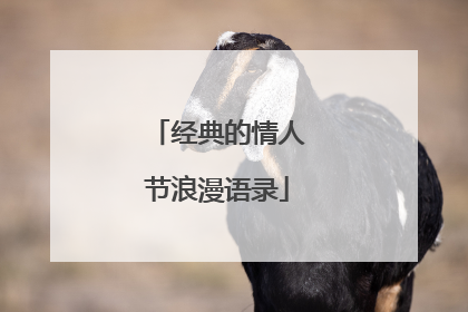 经典的情人节浪漫语录