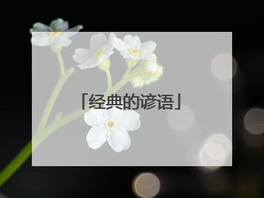 经典的谚语