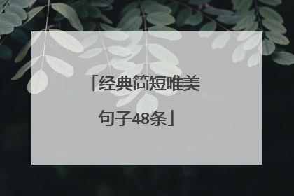 经典简短唯美句子48条