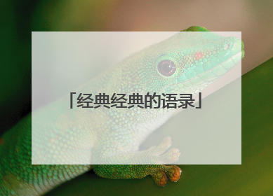经典经典的语录