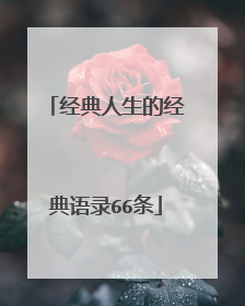 经典人生的经典语录66条