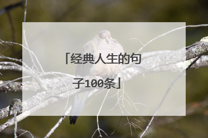 经典人生的句子100条