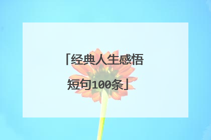 经典人生感悟短句100条