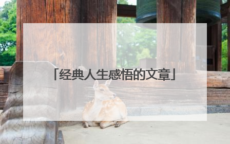 经典人生感悟的文章