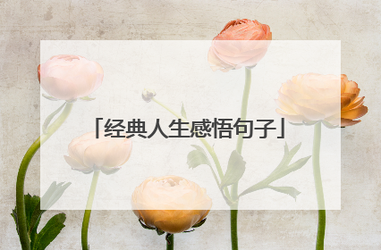 经典人生感悟句子