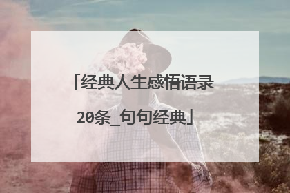 经典人生感悟语录20条_句句经典