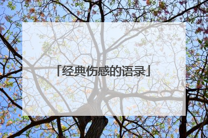 经典伤感的语录