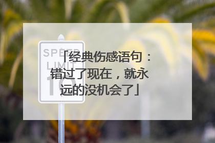 经典伤感语句：错过了现在，就永远的没机会了
