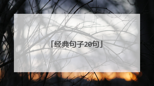 经典句子20句