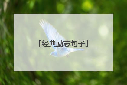 经典励志句子