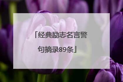 经典励志名言警句摘录89条