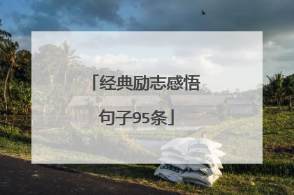 经典励志感悟句子95条