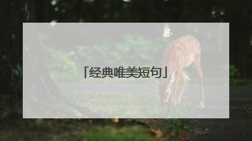 经典唯美短句