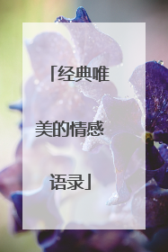经典唯美的情感语录