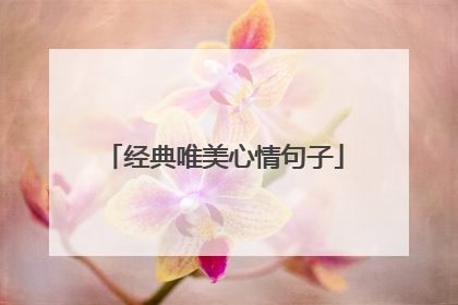 经典唯美心情句子