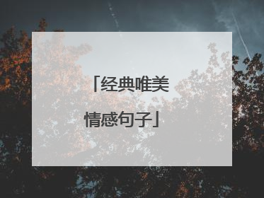 经典唯美情感句子