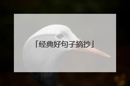 经典好句子摘抄